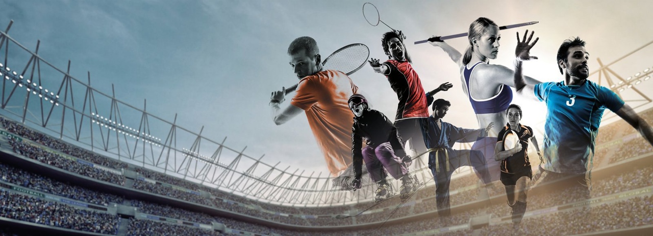Professional sports betting analysis showing statistics and game predictions